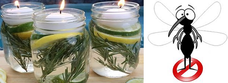 Komaf met muggen, maak een muggenbokaal!