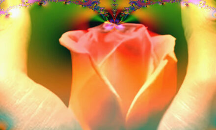 Dissolving Sadness, Matt Kahn