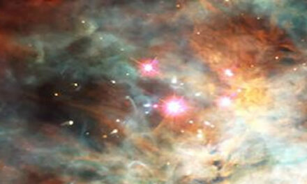 Lilian Ferru in gesprek met Michael Murray