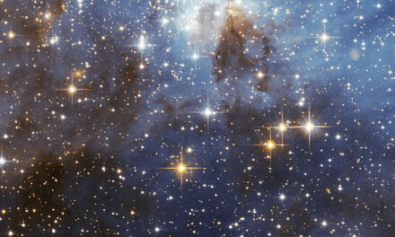 What reality are you creating for yourself? Isaac Lidsky