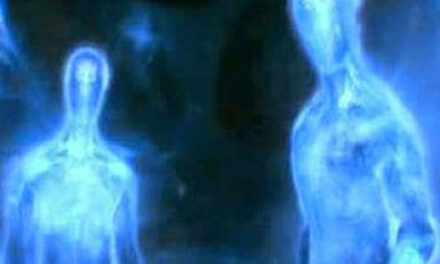 Lezing Tom Willems de ‘Crystalline Beings’