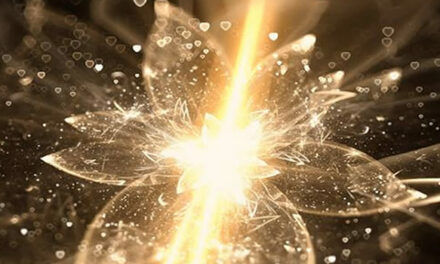 Judith Krasznai: ‘Ontsteek het licht’