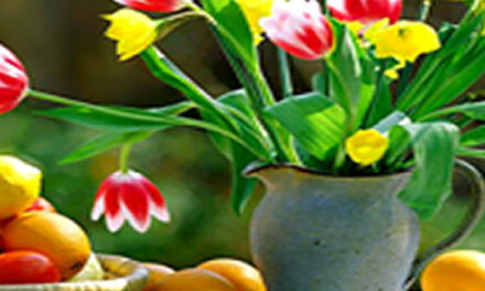 Ausgerechnet Holland!