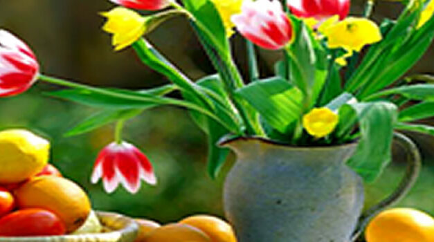 Wilders: ‘Jullie hebben ons gas VERPATST!’