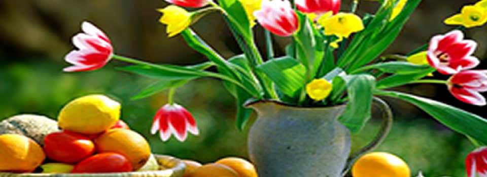 Ausgerechnet Holland!