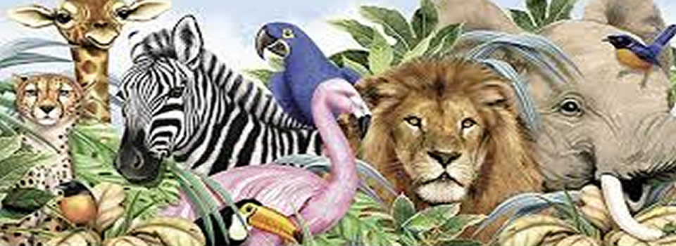 Diervriendelijk, lezersbrief