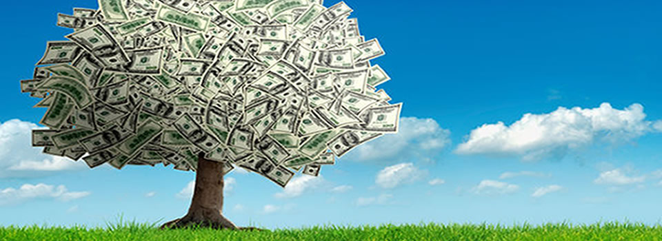 Levensgenieter…blog