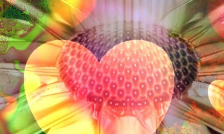 Awakening Your Inner Healer