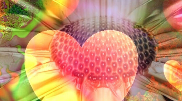 Drieluik met Bonnie Bessem & Koos Janson