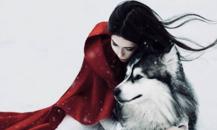 Tips voor mooie haren