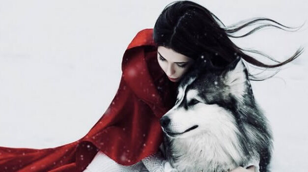 Headwind [Documentary]