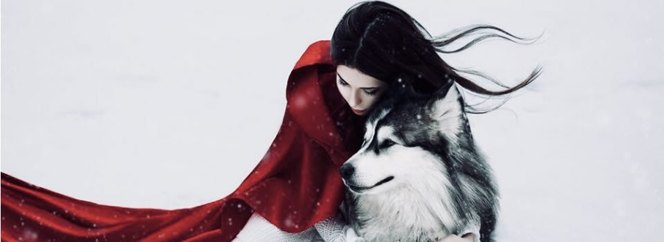 Headwind [Documentary]