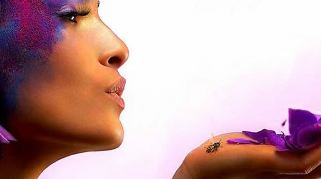 Onderscheidingsvermogen…