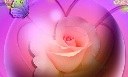 Video: Ik hou zóóó veel van jou…