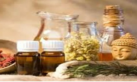 Theezakje tegen meer muizen en spinnen in je huis