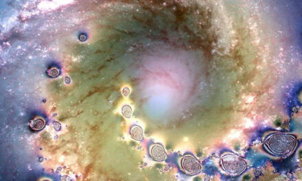 Nine Signs You Are a Chosen One