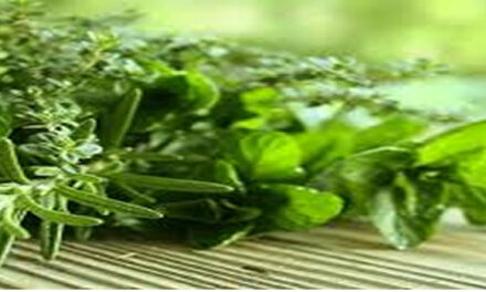 Eat Anything You Want With This One Secret