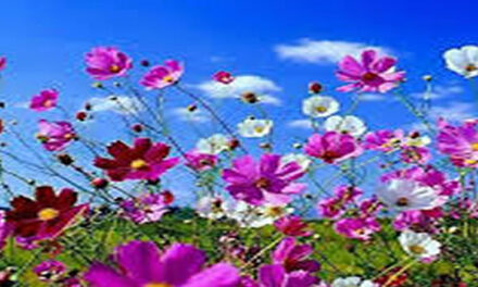 Ways to heal trauma without medication