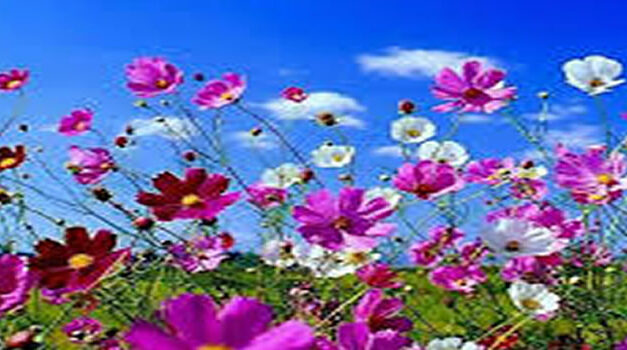 Ways to heal trauma without medication