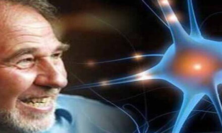 “Your Body Is An Ilussion”