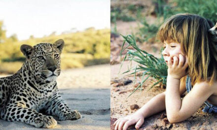 Tippi Degre “Tippi van Afrika”