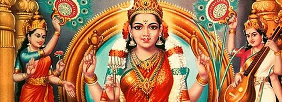 Shakti, The Power Within with Raja Choudhury