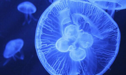 Jij bent wél goed genoeg