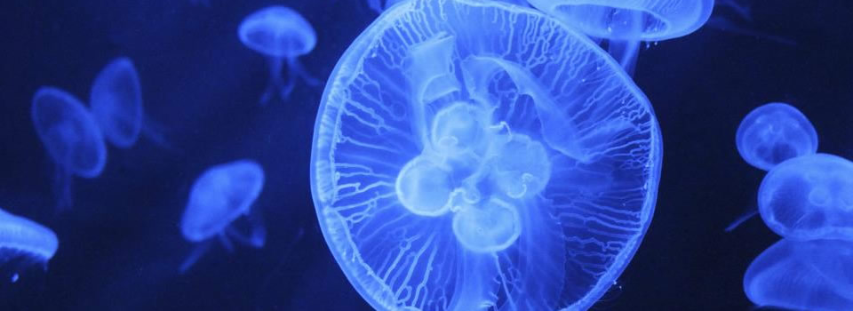 Jij bent wél goed genoeg