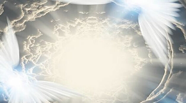 SIGNS That You Are An ANGEL In A HUMAN BODY