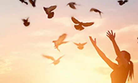 Vrijheid vs. veiligheid, Baudet schetst spanningsveld bij begroting