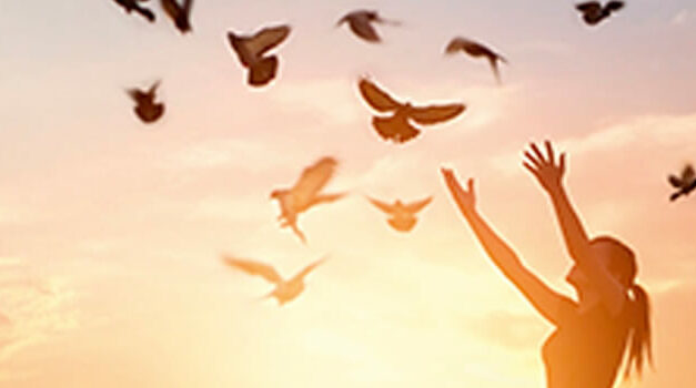 Vrijheid vs. veiligheid, Baudet schetst spanningsveld bij begroting