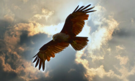 Pieter Lakeman: Twee minuten common sense