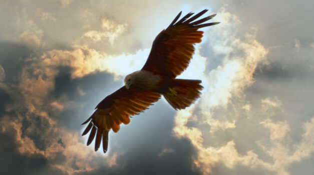 Van Meijeren over POLITIEKE VERVOLGING van DISSIDENTEN