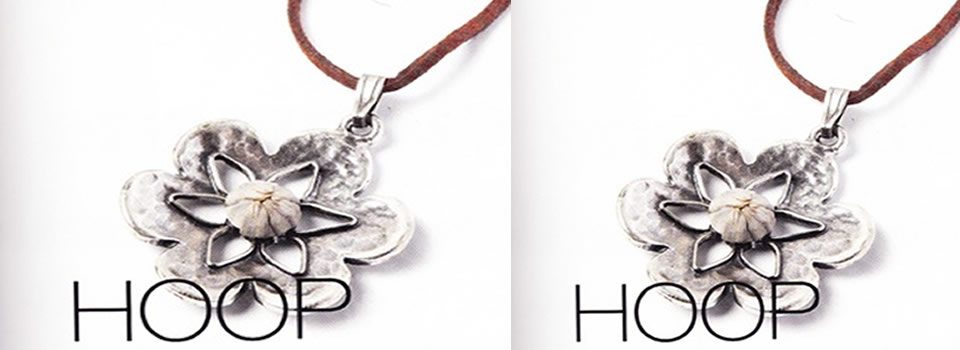 Weer verkrijgbaar: Roos van Hoop