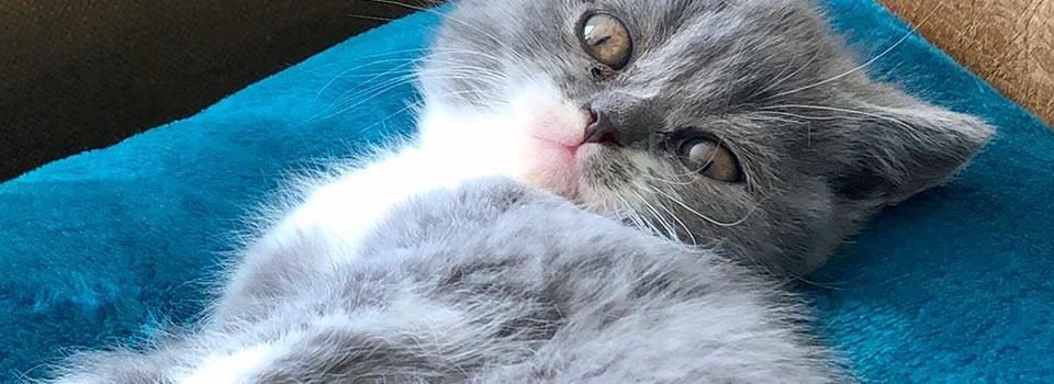 Er moet me toch iets van het hart…