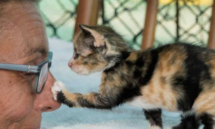 Mag ik je wat vragen?