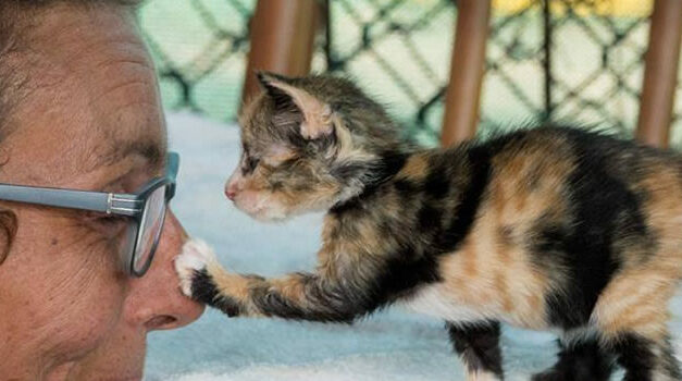 Mag ik je wat vragen?