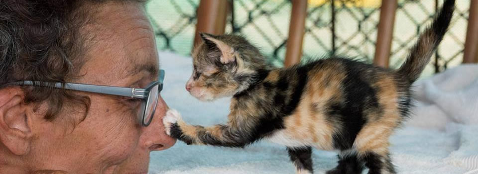 Mag ik je wat vragen?