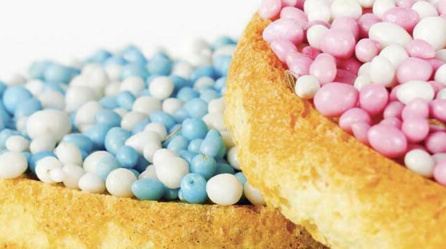 Do We Plan Our Lives Before Birth?