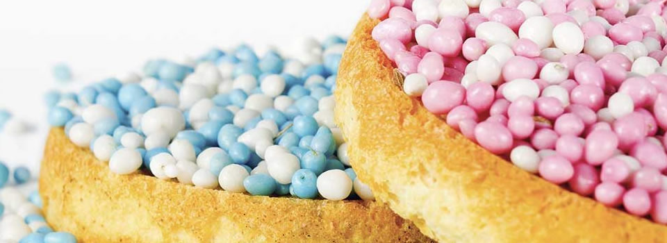 Do We Plan Our Lives Before Birth?