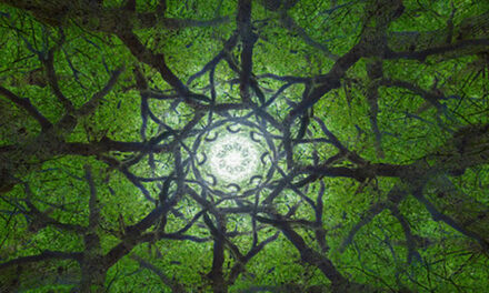 Comfortable Not Knowing, Eckhart Tolle