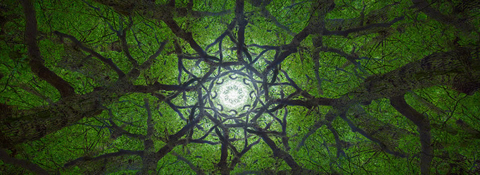 Comfortable Not Knowing, Eckhart Tolle